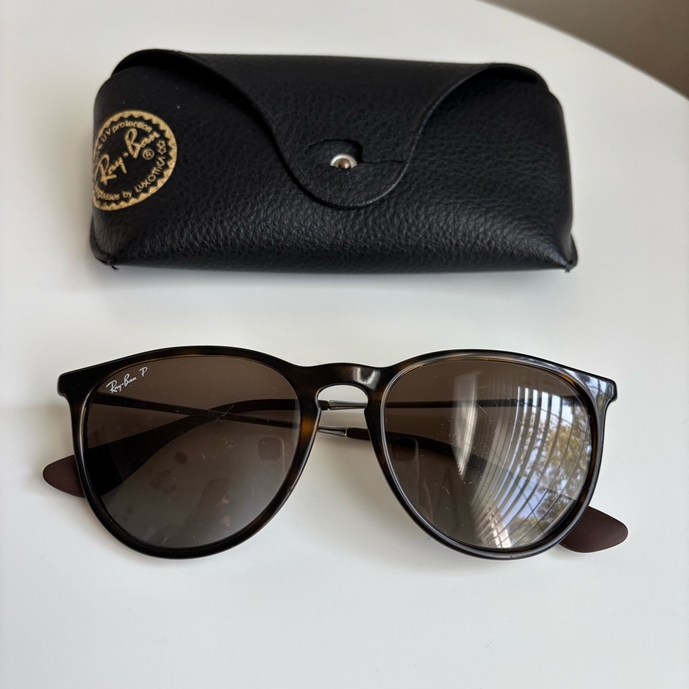 Ray-Ban Erika Polarized Dark Brown Sunglasses with Black Case